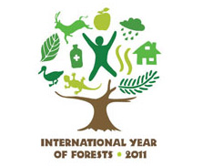 International year of forests